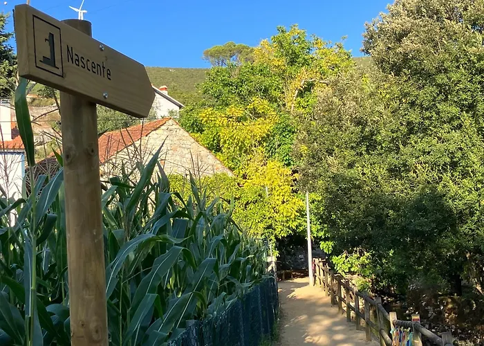 Servigueira By Grota Casa vacanze *